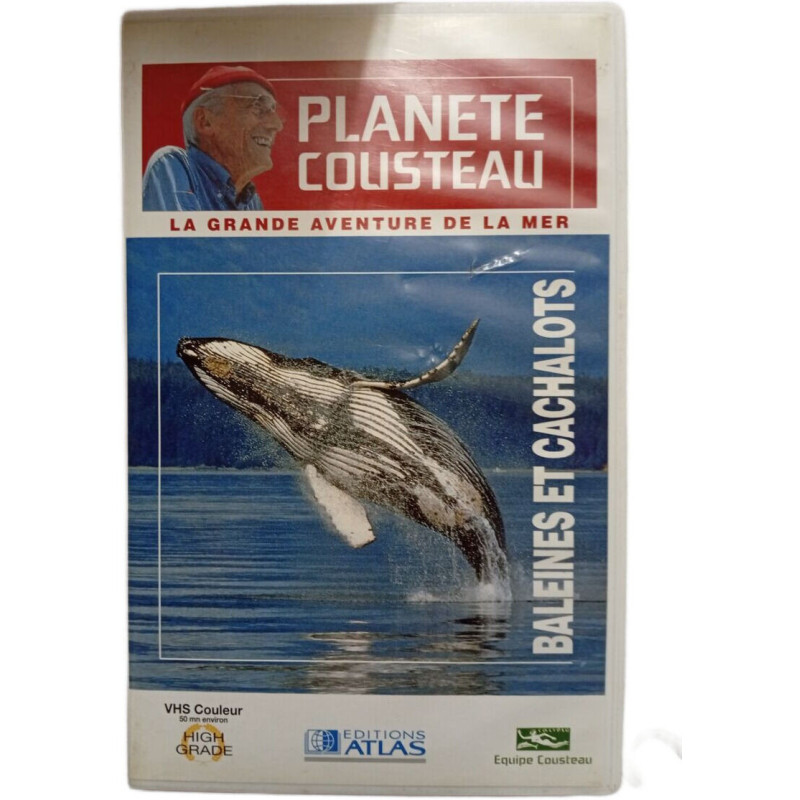 Planète Cousteau : La grande aventure de la mer - Baleines et...