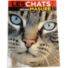 Les chats vus par Bruno Masure