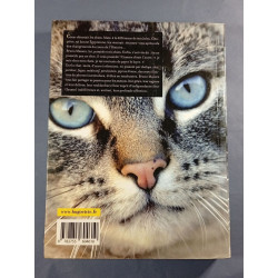 Les chats vus par Bruno Masure