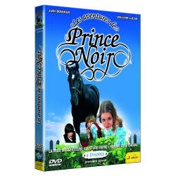 Les aventures de Prince noir saison 1 - Coffret 2 DVD [FR Import]...