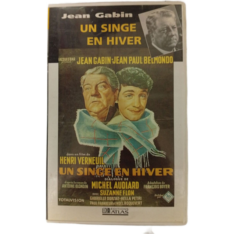 Un singe en hiver