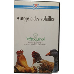 Autopsie des volailles
