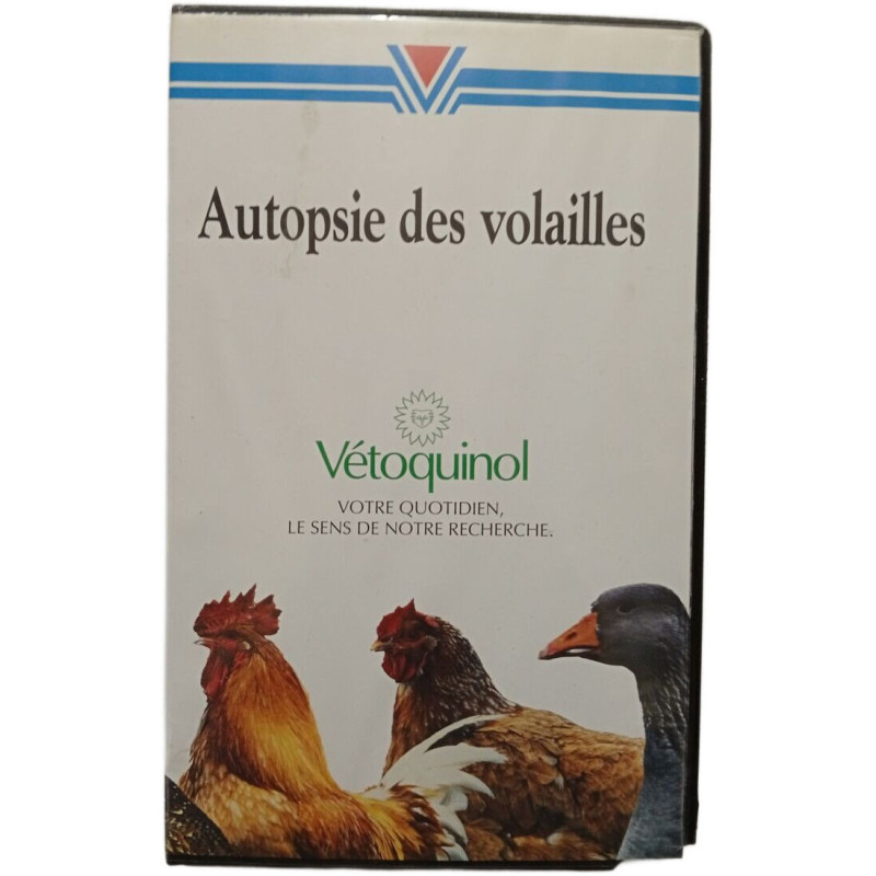 Autopsie des volailles