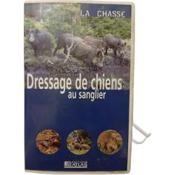 Dressage de chiens au sanglier