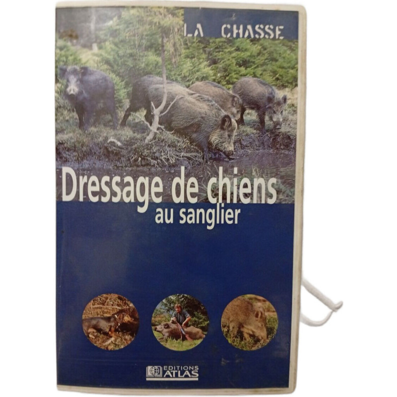Dressage de chiens au sanglier
