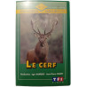 Le Cerf