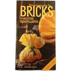 Connaissez-vous les Bricks