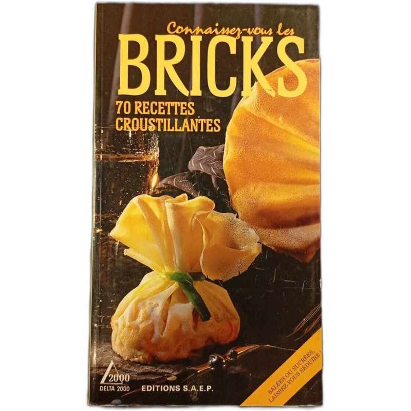 Connaissez-vous les Bricks