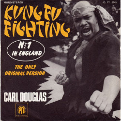 Kung Fu Fighting