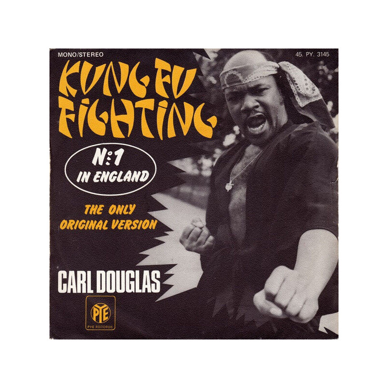 Kung Fu Fighting