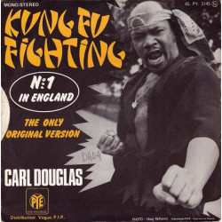 Kung Fu Fighting
