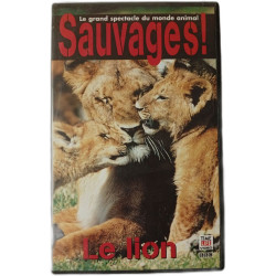 Sauvages! Le lion