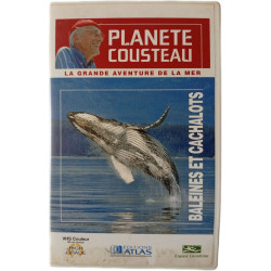 Planète Cousteau : La grande aventure de la mer - Baleines et...