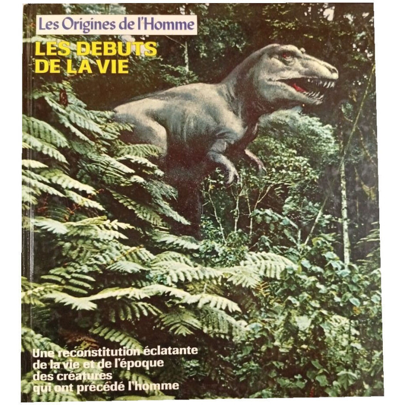 Les Origines de l'Homme : Les Débuts de la Vie