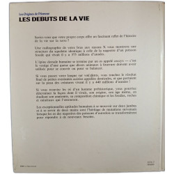 Les Origines de l'Homme : Les Débuts de la Vie