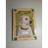 Le Labrador