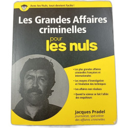 Les Grandes Affaires criminelles pour les nuls