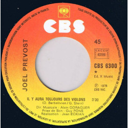 Il Y Aura Toujours Des Violons / Raoul