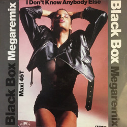 I Don't Know Anybody Else (Megaremix)