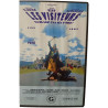VHS - Les visiteurs