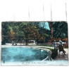 404 Vichy - Le Parc - Bassin des Cygnes