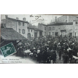 BILLOM. - Marché aux Porcs
