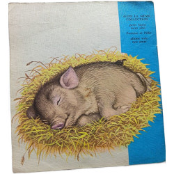 Tout petits animaux