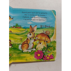 Mes amis Les lapins