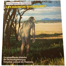 Le chaînon manquant