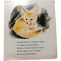 Le petit fennec et les animaux du désert