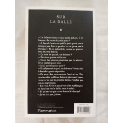 Sur la dalle
