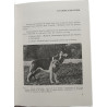 Je dresse mon chien à la garde et à la défense