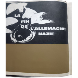 La fin de l'Allemagne nazie