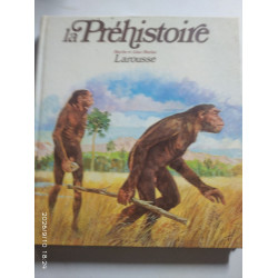 La Préhistoire