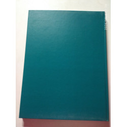 Matisse : peinture